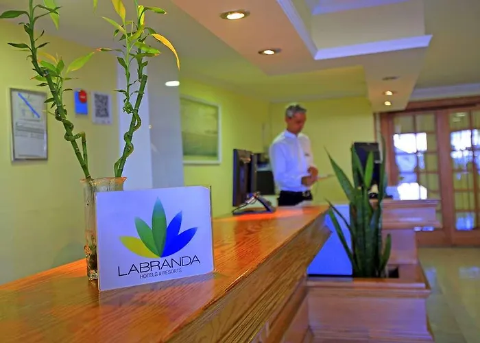 Lejlighed Labranda Cocoteros *